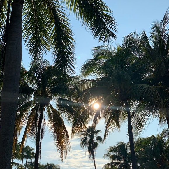 Meet your Posher, K - Picture 1 of 1